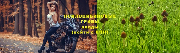 spice Переславль-Залесский