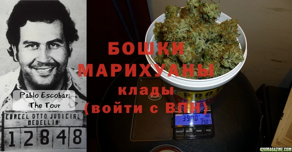 дживик Пестово