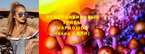 дживик Пестово