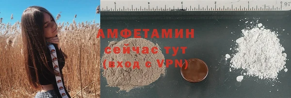 дживик Пестово