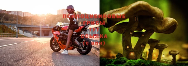 хмурый Гвардейск