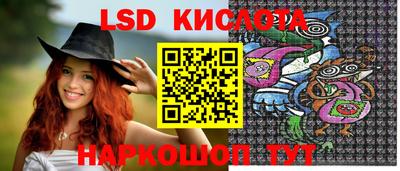 крисы Апшеронск