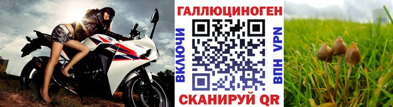 Псилоцибиновые грибы ЛСД Асино