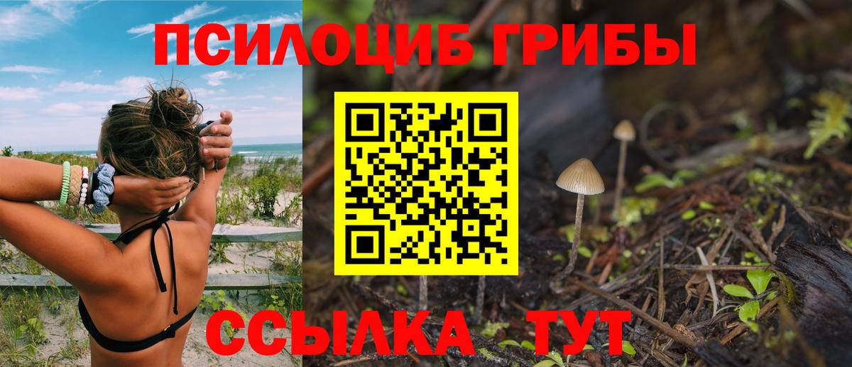 Псилоцибиновые грибы MAGIC MUSHROOMS  Псилоцибиновые грибы Cubensis  Вход с VPN  Асино 