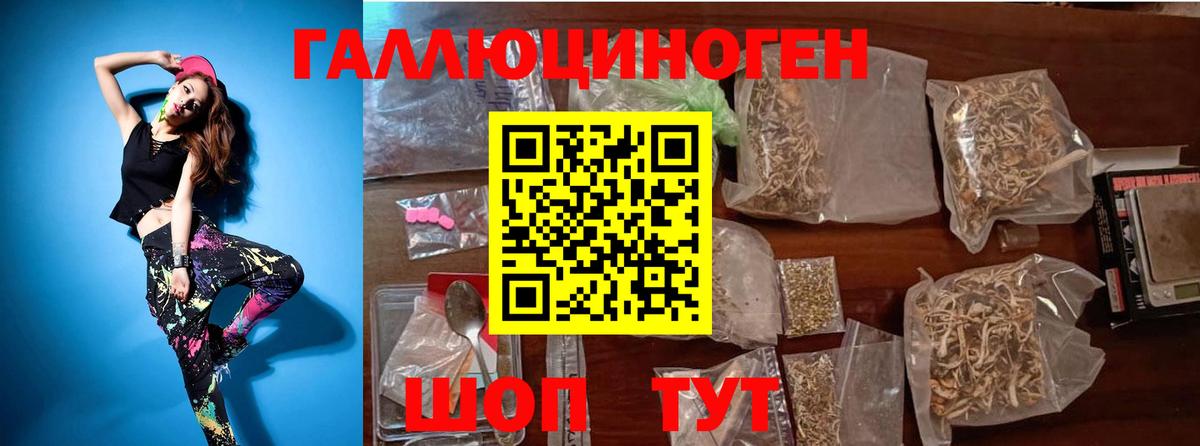 Псилоцибиновые грибы Cubensis Асино